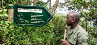 Trails of Nyungwe Forest National Park