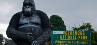 Attractions in Volcanoes National Park