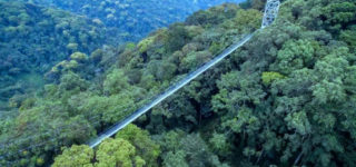 How to get to Nyungwe National Park