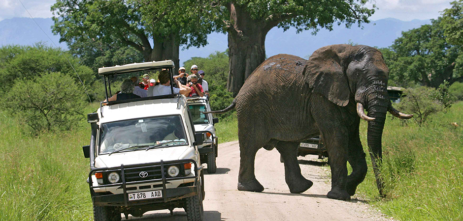 3 Days Lake Mburo National Park Wildlife Safari