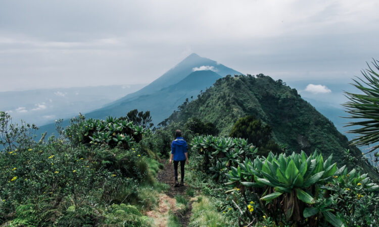 Exploring Rwanda on Foot