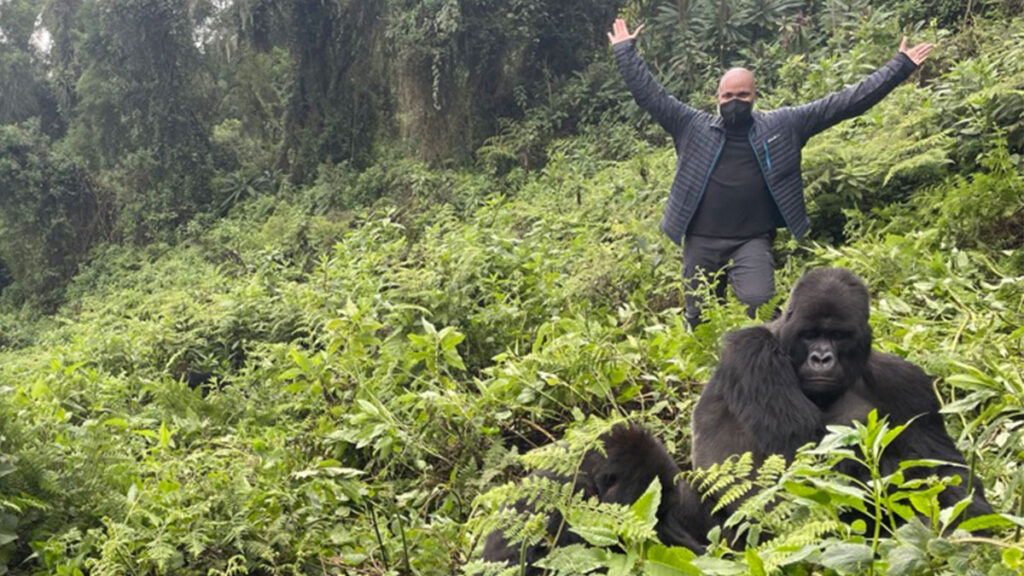 What to Expect from Gorilla Trekking in Rwanda