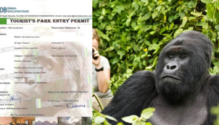 rwanda development board gorilla permit