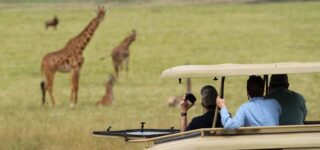 A Safari in Rwanda