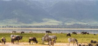 Ngorongoro Conservation Area