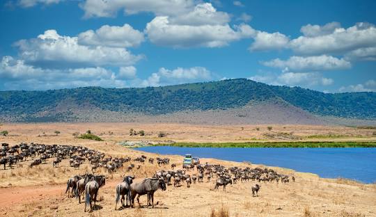 6 Days Kenya and Tanzania Great Migration Safari