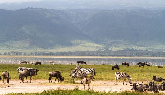 Ngorongoro Conservation Area