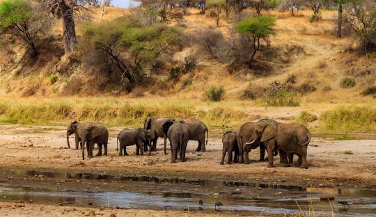 Tarangire National Park