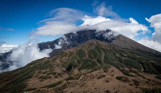 Arusha National Park