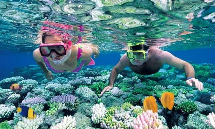 Exploring the Coral Reefs of Zanzibar