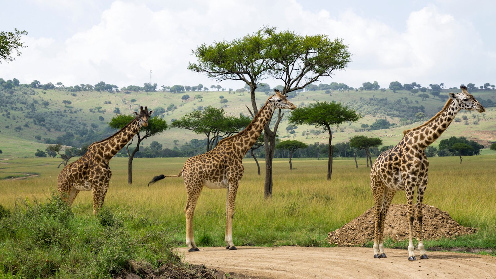 5 Days Kenya Family Vacation Safari