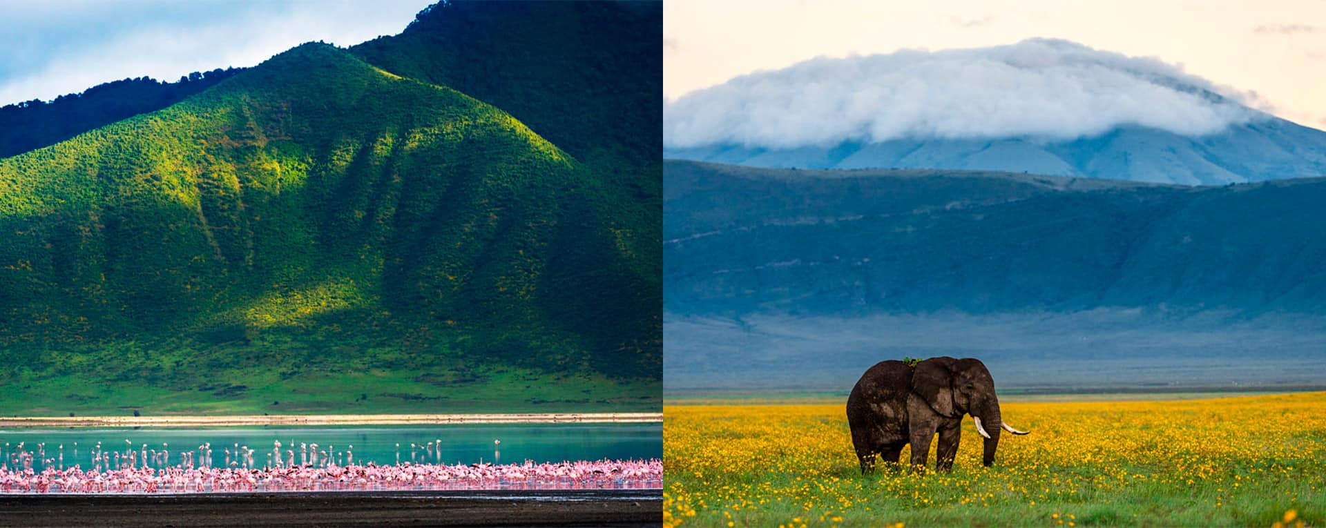 3 Days Ngorongoro and Lake Manyara Safari