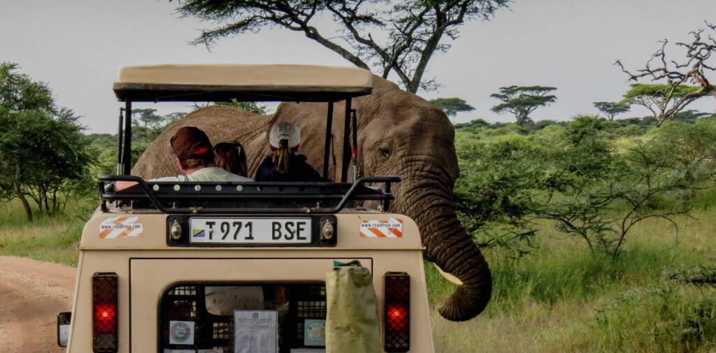 6 Days Kenya and Tanzania Wildlife Safari