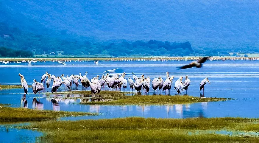 Lake Manyara National Park