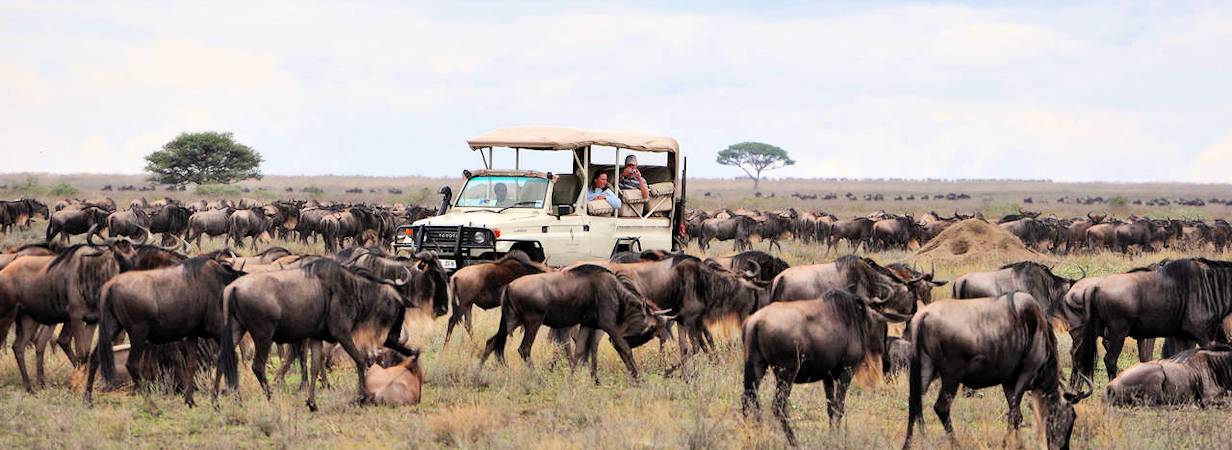 10 Days Kenya Tanzania and Uganda Wildlife Safari