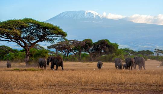 3 Days Amboseli Wildlife Safari