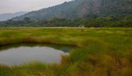 Semuliki National Park